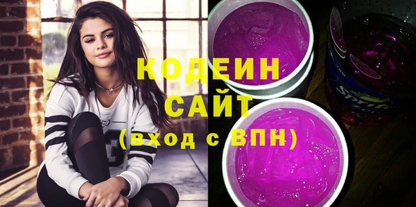 соль ск Кукмор