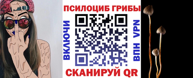 Галлюциногенные грибы прущие грибы  магазин продажи   Кызыл 
