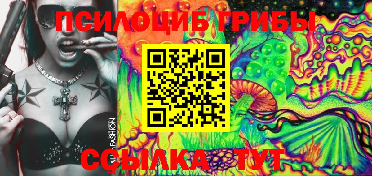Псилоцибиновые грибы Cubensis Кызыл