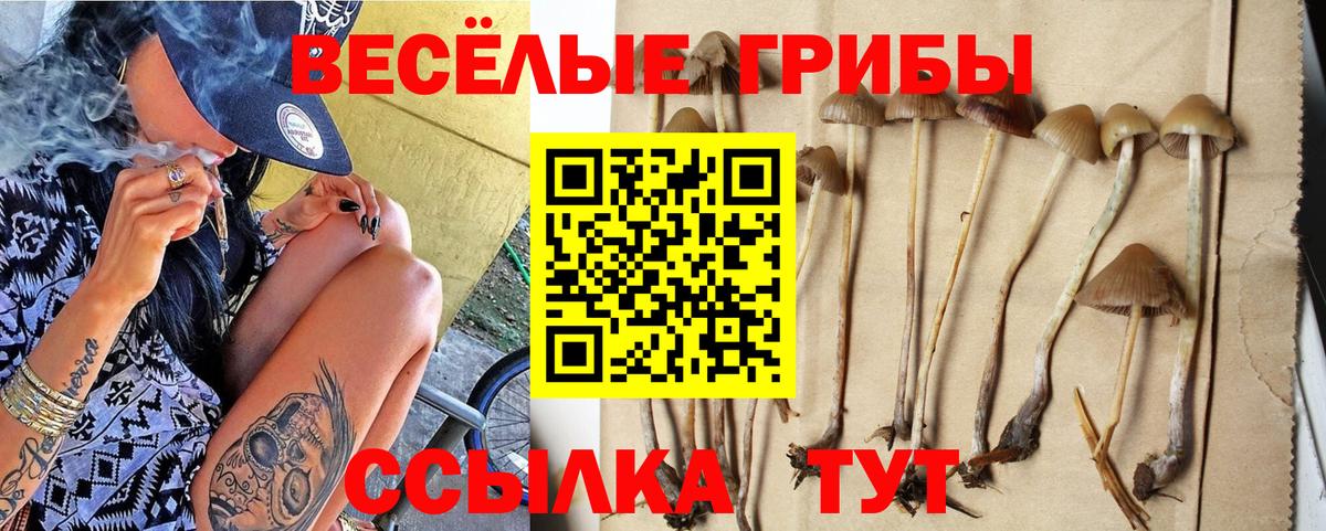 Псилоцибиновые грибы MAGIC MUSHROOMS  Вход с VPN  Псилоцибиновые грибы прущие грибы  Кызыл 